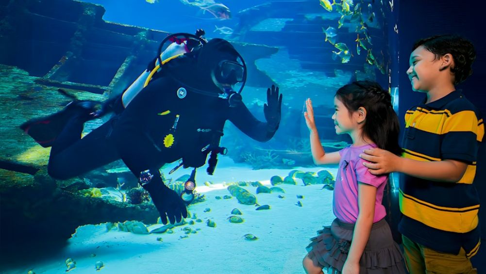 Dubai Aquarium Tickets